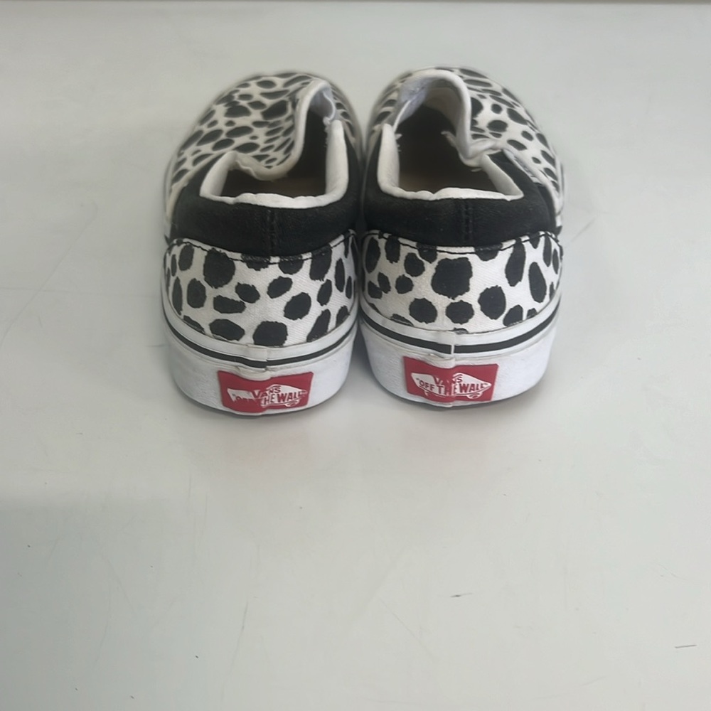 Custom Vans - Picture 3 of 4